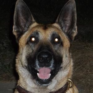 Meet your Posher, Alton